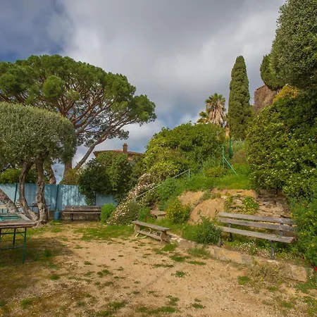 Berliat N° 10 * Bormes-les-Mimosas