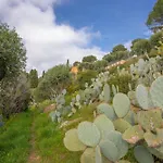 Berliat N° 10 * Bormes-les-Mimosas