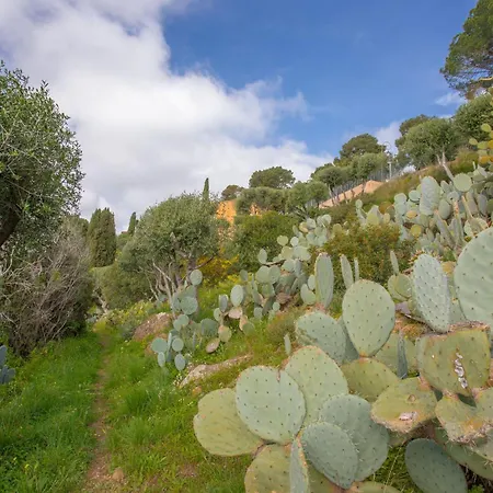Berliat N° 10 * Bormes-les-Mimosas